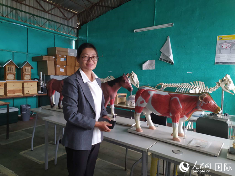 来自大澳门平台学的田巧珍老师在动物实验室。人民网记者 黄培昭摄
